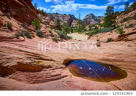 Desert Canyon Rock Pool and Sandstone Layers Zion National Park Elevated View 129191963