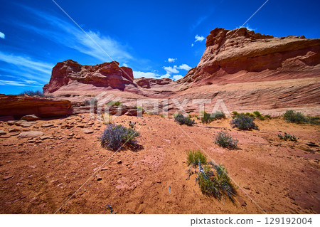 Red Rock Formations and Desert Vegetation Under Blue Sky Ground Level Upward View 129192004