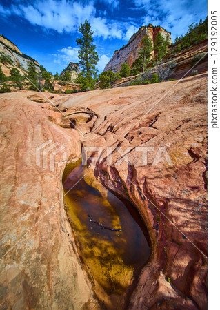 Sandstone Rock Pools and Cliffs with Water Reflections Zion National Park Low 129192005
