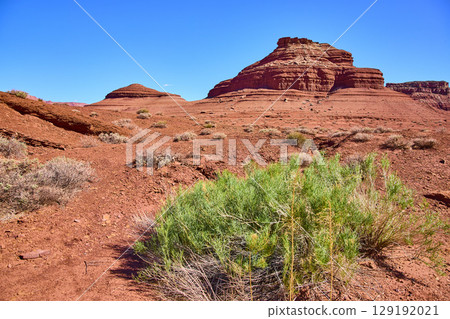 Red Sandstone Butte Desert Vegetation Blue Sky Eye Level View Red Sandstone Butte Desert Vegetation Blue Sky Eye Level View 129192021