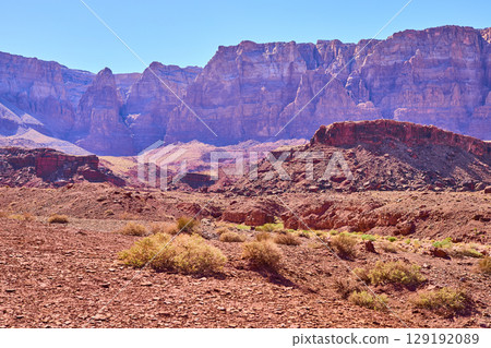 Sunlit Grand Canyon Walls Red Mesa and Desert Plants Eye Level View 129192089