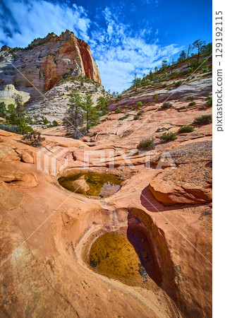Desert Rock Pools and Sandstone Cliffs with Pine Trees Wide Angle Perspective 129192115
