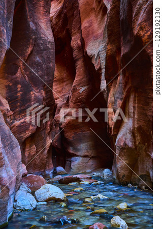 Kanarra Falls Slot Canyon Flowing Stream and Red Sandstone Walls Eye Level Kanarra Falls Slot Canyon Flowing Stream and Red Sandstone Walls Eye Level 129192130