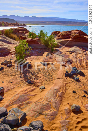 Red Sandstone Shoreline and Desert Vegetation by Blue Lake Eye Level Perspective Red Sandstone Shoreline and Desert Vegetation by Blue Lake Eye Level Perspective 129192145