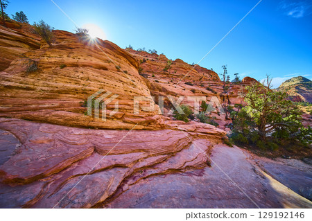 Red Sandstone Formations with Sunlit Desert Vegetation Many Pools Trail Low Angle Red Sandstone Formations with Sunlit Desert Vegetation Many Pools Trail Low Angle 129192146