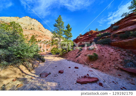 Red Sandstone Formations and Desert Trail with Pine Trees Eye Level Perspective 129192170