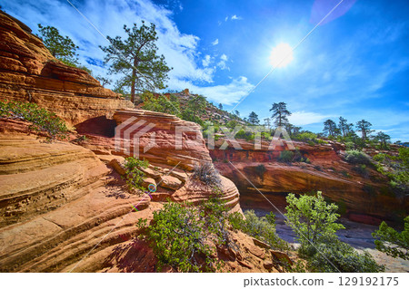 Red Sandstone Formations Pine Trees and Desert Vegetation Many Pools Trail Red Sandstone Formations Pine Trees and Desert Vegetation Many Pools Trail 129192175
