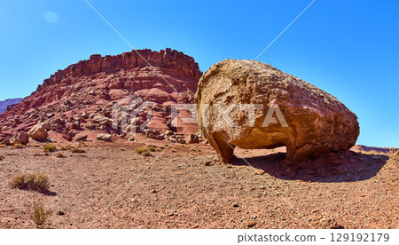Balanced Boulder and Rugged Mesa in Desert Wilderness Eye Level Panorama 129192179