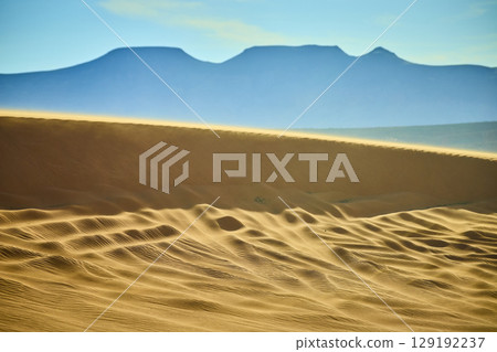 Golden Sand Dunes with Wind Ripple Patterns and Distant Mountains Low Perspective 129192237