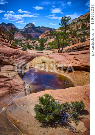 Red Rock Formations Pool of Water and Desert Trees Eye Level Perspective Red Rock Formations Pool of Water and Desert Trees Eye Level Perspective 129192238