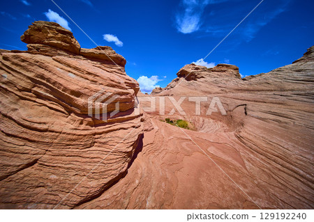 Sandstone Waves and Desert Vegetation with Sunlit Striations Eye Level 129192240