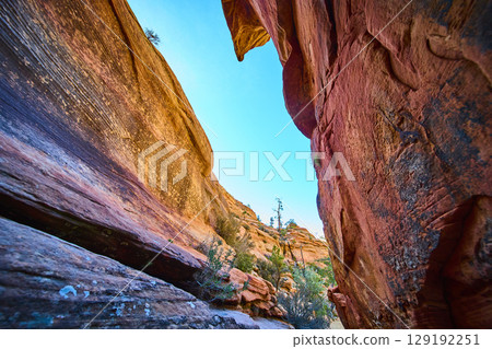 Red Rock Canyon Walls with Desert Vegetation and Sunlit Striations Low Upward 129192251