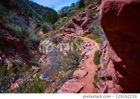 Red Rock Canyon Hiking Trail with Flowing Creek and Desert Vegetation Eye Level 129192259