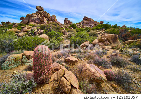 Barrel Cactus and Rock Formations in Desert Wilderness Eye Level Perspective 129192357