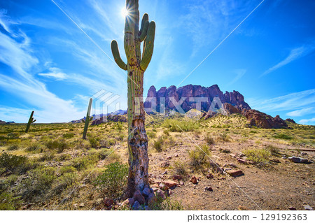 Saguaro Cactus and Superstition Mountains Desert Sunburst Eye Level Perspective Saguaro Cactus and Superstition Mountains Desert Sunburst Eye Level Perspective 129192363