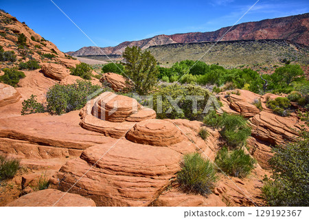 Red Rock Sandstone Formations and Desert Vegetation Gunlock Utah Eye Level View 129192367