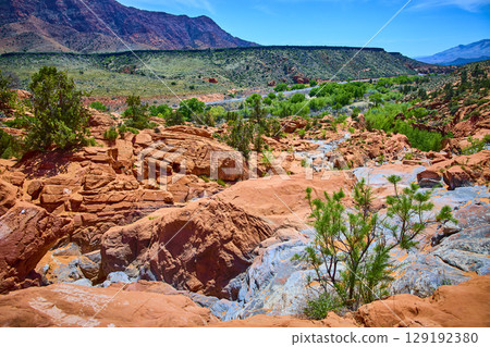 Red Rock Formations Desert Vegetation and Distant Mountains Eye Level Perspective 129192380