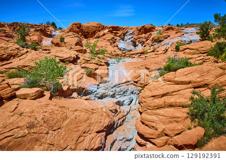 Red Sandstone Formations with Desert Vegetation and Blue Sky Low Angle View 129192391