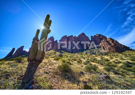 Saguaro Cactus and Red Rocks Sunburst in Arizona Desert Upward Perspective 129192397