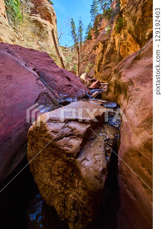 Sandstone Boulder and Flowing Stream in Red Rock Canyon Eye Level Perspective Sandstone Boulder and Flowing Stream in Red Rock Canyon Eye Level Perspective 129192403
