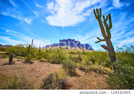 Superstition Mountains Saguaro Cacti Desert Wilderness Low Perspective 129192405