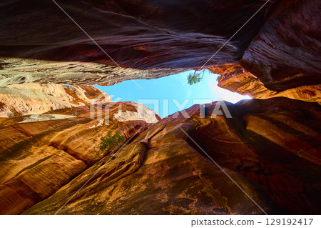 Red Rock Slot Canyon Walls with Sparse Vegetation Upward Ground Level View 129192417