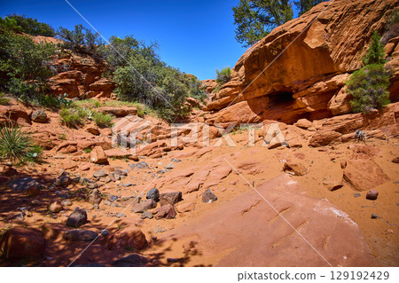 Red Sandstone Cliffs Desert Vegetation Dry Creek Bed Eye Level Perspective Red Sandstone Cliffs Desert Vegetation Dry Creek Bed Eye Level Perspective 129192429