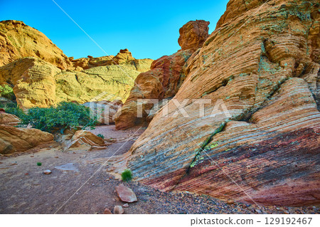 Striated Red Sandstone Formations and Desert Vegetation with Blue Sky Eye Level 129192467
