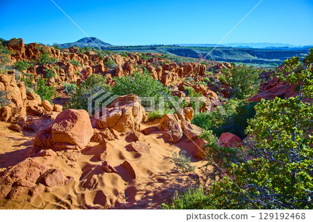 Red Sandstone Formations and Desert Shrubs with Distant Mesas Eye Level 129192468