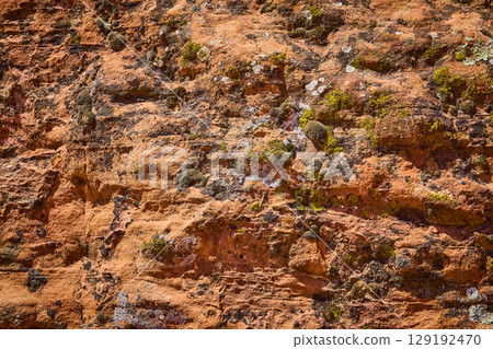 Rugged Desert Rock Face with Moss and Lichen Close Up Eye Level View 129192470