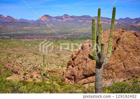 Saguaro Cactus and Red Rock Formation in Arizona Desert Valley Eye Level View Saguaro Cactus and Red Rock Formation in Arizona Desert Valley Eye Level View 129192482