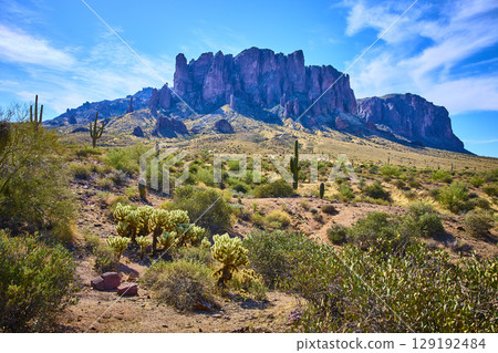 Superstition Mountains Saguaro Cactus and Desert Vegetation Eye Level View 129192484