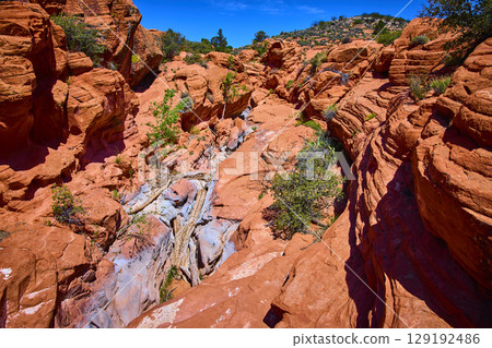 Red Rock Canyon Layers with Dried Stream Bed and Desert Vegetation Eye Level View Red Rock Canyon Layers with Dried Stream Bed and Desert Vegetation Eye Level View 129192486