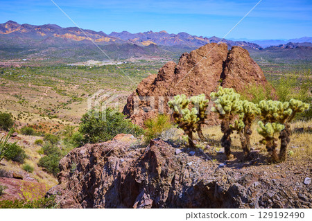 Cholla Cacti and Red Rock Formation Overlooking Arizona Desert Plains Eye Level 129192490