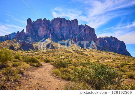 Superstition Mountains Desert Trail with Cacti and Shrubs Eye Level View 129192509