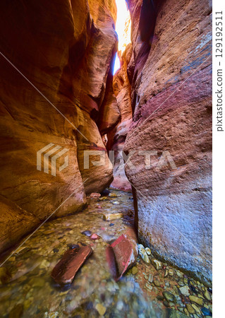 Sandstone Slot Canyon Walls and Flowing Stream Low Perspective Kanarra Utah Sandstone Slot Canyon Walls and Flowing Stream Low Perspective Kanarra Utah 129192511