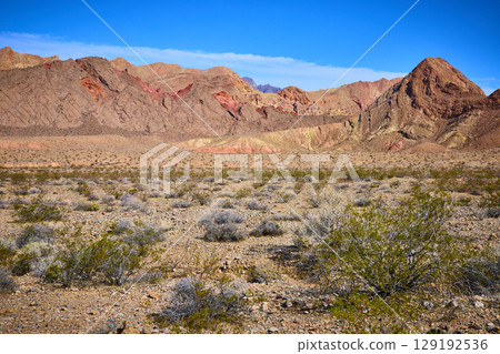 Rugged Desert Mountains and Arid Landscape in Nevada Eye Level View 129192536