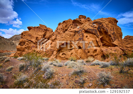 Redstone Dune Sandstone Cliffs with Desert Vegetation at Eye Level Redstone Dune Sandstone Cliffs with Desert Vegetation at Eye Level 129192537