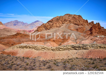 Red Rock Formations and Desert Vegetation in Nevada Midday Scene 129192544