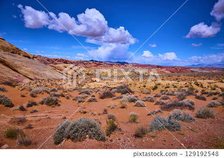 Vibrant Red Rock Formations in Nevada Desert Elevated View Vibrant Red Rock Formations in Nevada Desert Elevated View 129192548