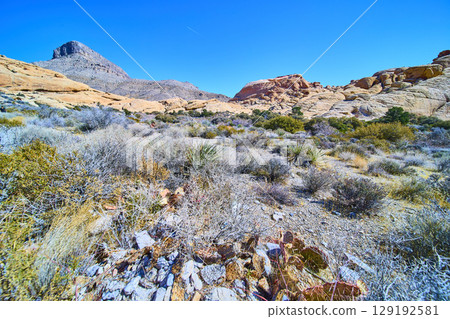 Red Rock Canyon Desert Vista with Mountain and Vegetation Eye Level View Red Rock Canyon Desert Vista with Mountain and Vegetation Eye Level View 129192581