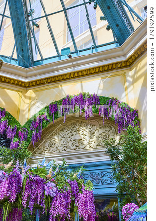 Luxurious Botanical Display in Teal-Framed Conservatory Elevated View Luxurious Botanical Display in Teal-Framed Conservatory Elevated View 129192599