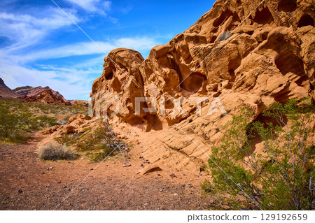 Red Rock Formations and Desert Vegetation Under Blue Sky Eye Level View 129192659