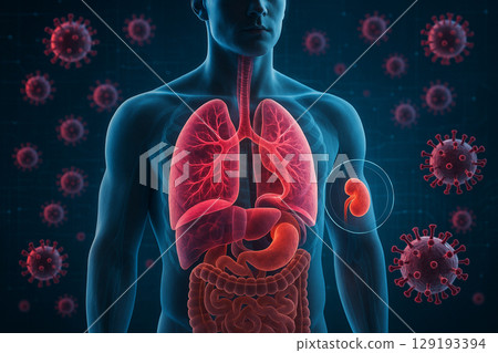 AI generated detailed male anatomy showing lungs kidneys and digestive organs surrounded by virus particles with medical tech background 129193394