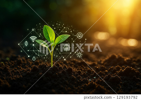 AI generated image of a fresh green seedling in fertile soil surrounded by glowing IoT icons and warm sunlight representing futuristic smart agriculture and data driven farming AI generated image of a fresh green seedling in fertile soil surrounded by glowing IoT icons and warm sunlight representing futuristic smart agriculture and data driven farming 129193792
