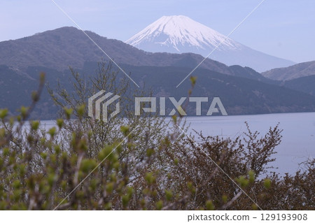 Lake Ashinoko and Mt. Fuji　 129193908