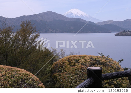 Lake Ashi and Mt. Fuji as seen from Onshi Hakone Park 129193916
