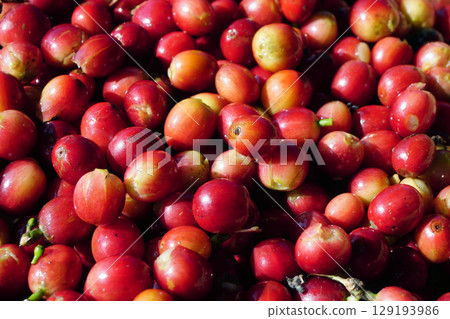 pile of fresh coffee beans 129193986