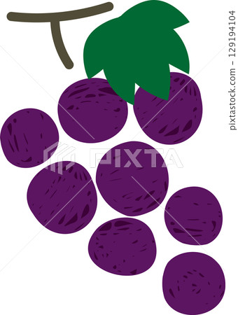Hand-drawn style cute grape illustration material 129194104