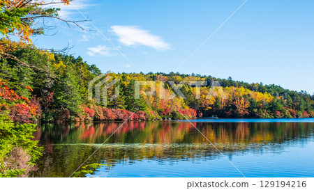 Shirakoma pond in autumn 129194216